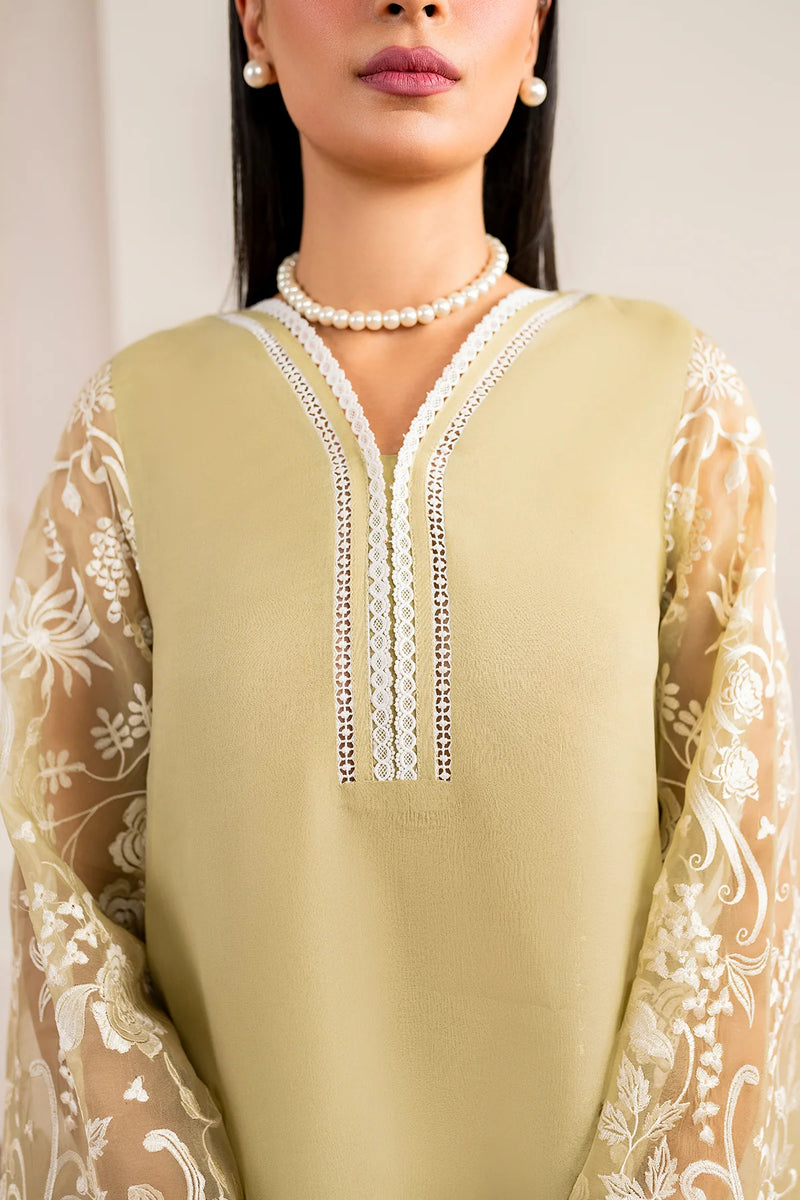 Luxury Embroidered Chiffon 3 Piece Dress - FPF_02