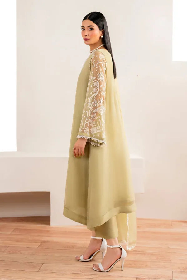 Luxury Embroidered Chiffon 3 Piece Dress - FPF_02