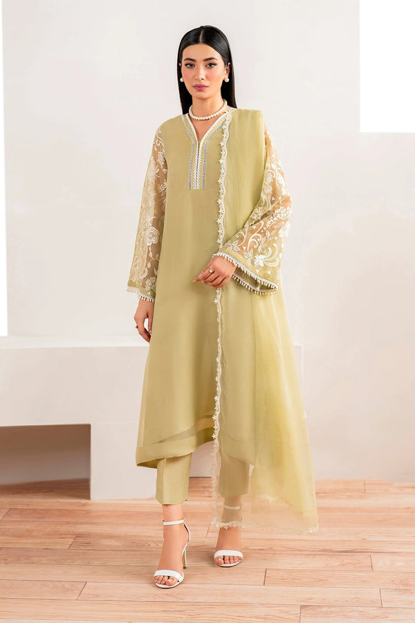 Luxury Embroidered Chiffon 3 Piece Dress - FPF_02